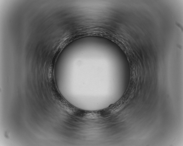 X0000096960708200802080900
