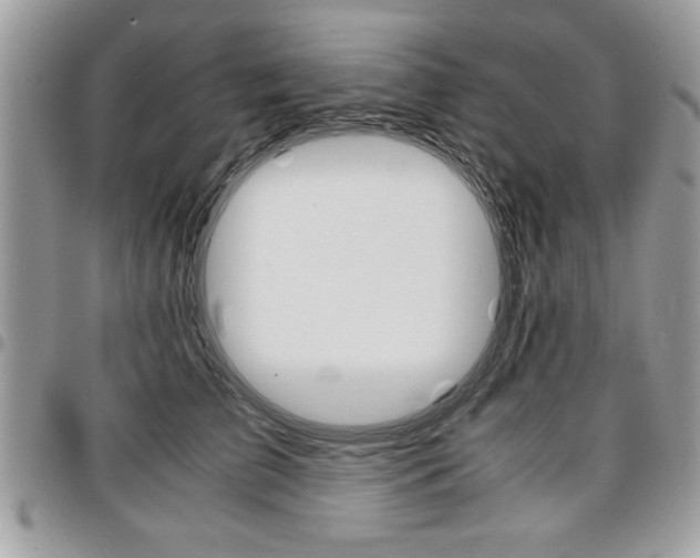 X0000096960709200802080900