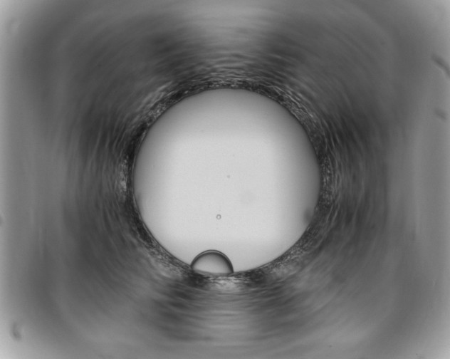 X0000096960710200802080900