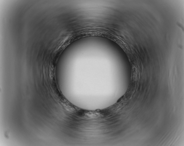 X0000096960712200802080900