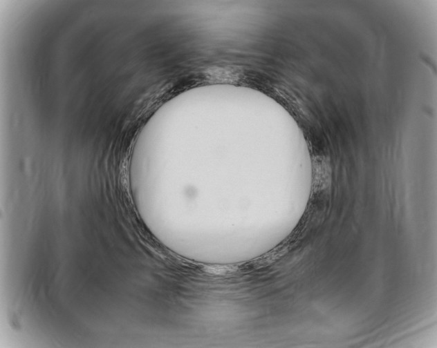 X0000096960713200802080900