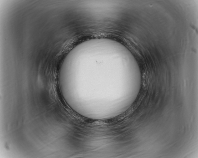 X0000096960714200802080900