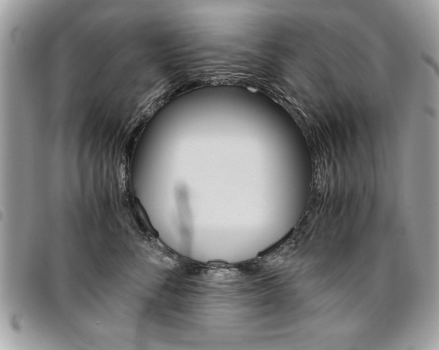 X0000096960716200802080900