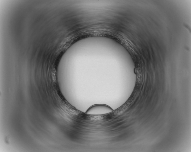 X0000096960718200802080900