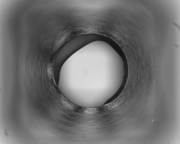 X0000096960720200802080900