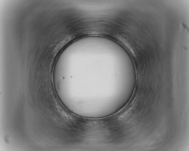 X0000096960721200802080859