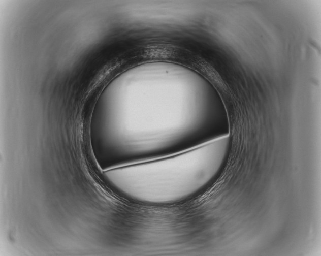 X0000096960722200802080859