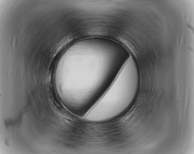 X0000096960723200802080859