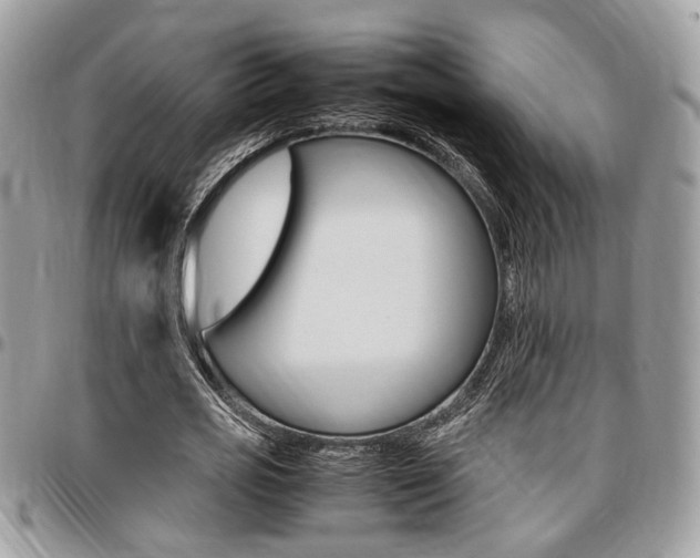 X0000096960725200802080859