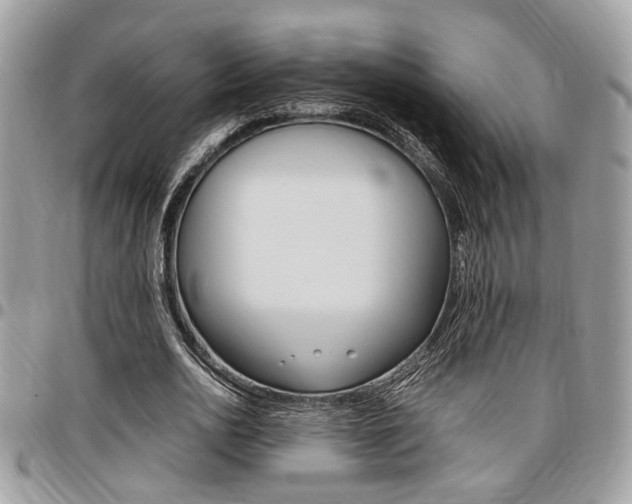 X0000096960726200802080859