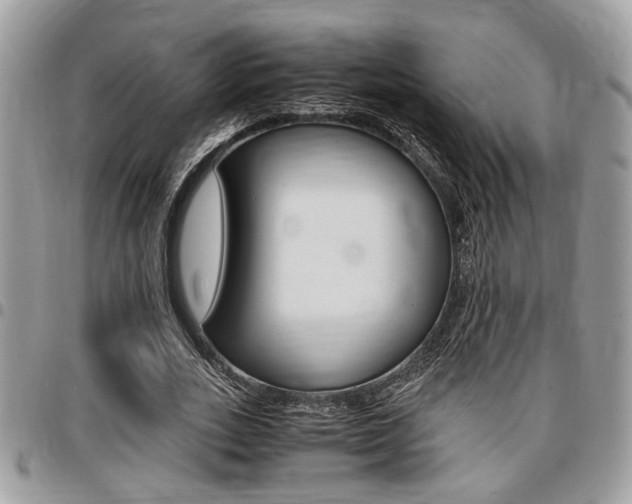 X0000096960727200802080859