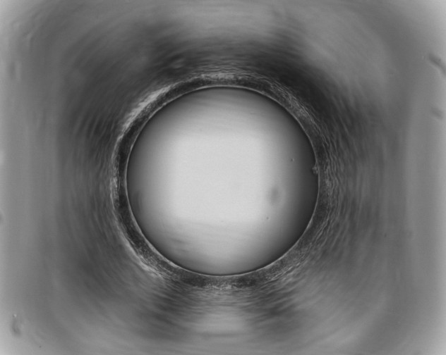 X0000096960728200802080859