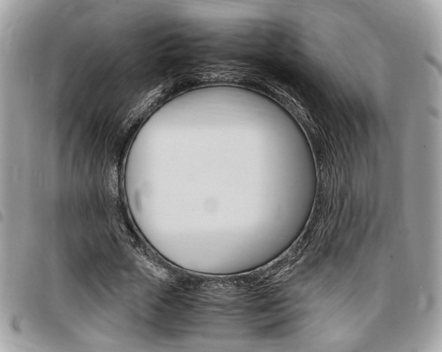 X0000096960729200802080859