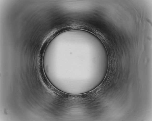 X0000096960730200802080859