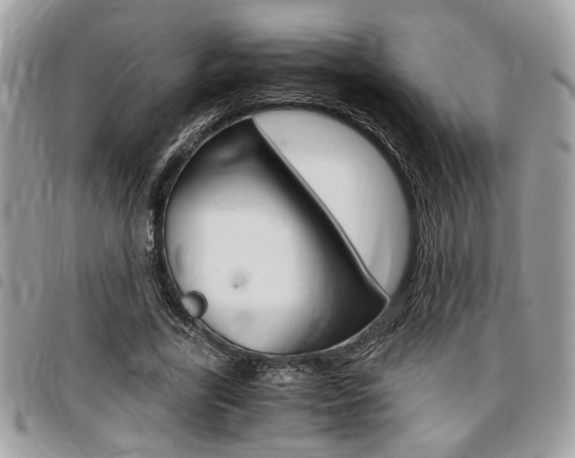 X0000096960731200802080859