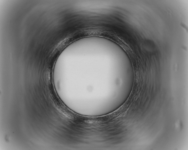 X0000096960733200802080859