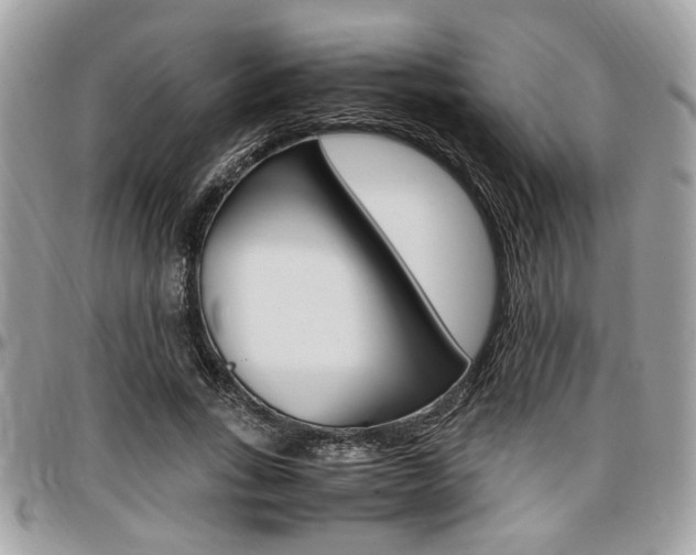 X0000096960735200802080859