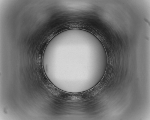 X0000096960737200802080859