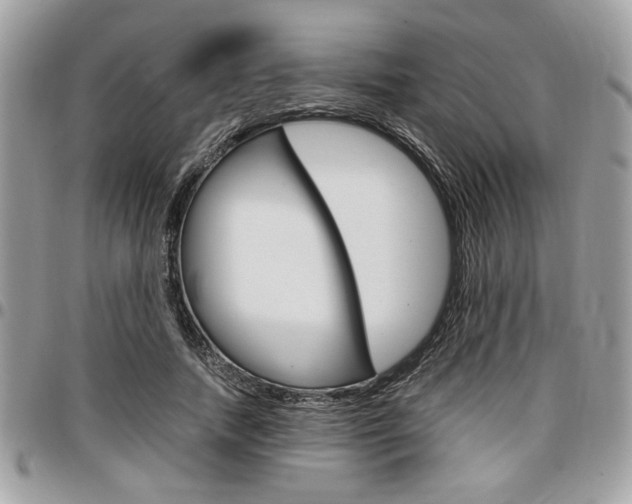 X0000096960738200802080859