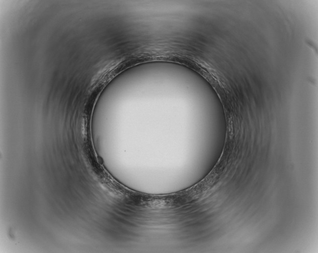 X0000096960740200802080859