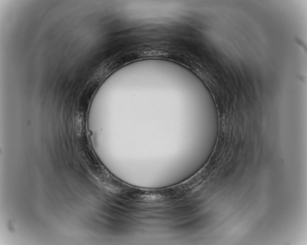 X0000096960741200802080859
