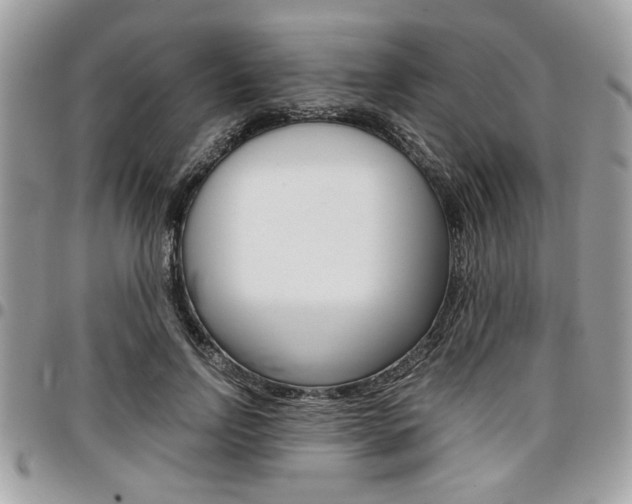X0000096960742200802080859