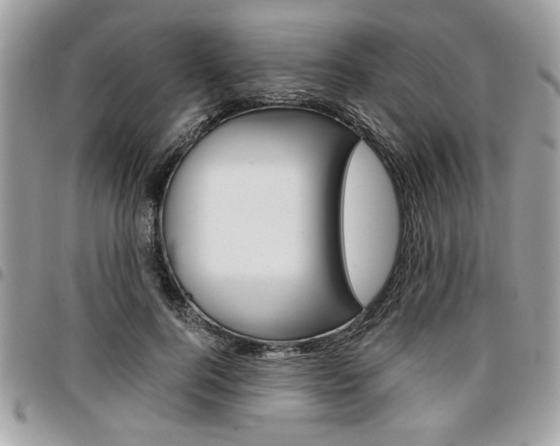 X0000096960744200802080859