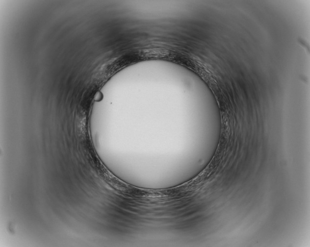 X0000096960745200802080859