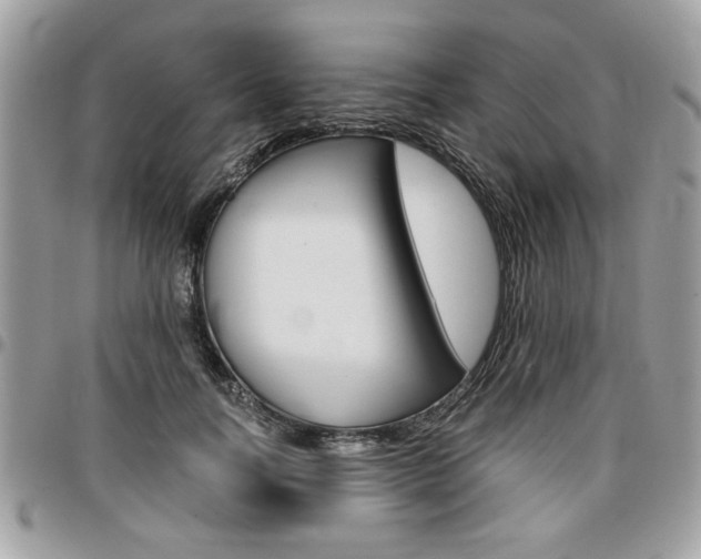X0000096960746200802080859