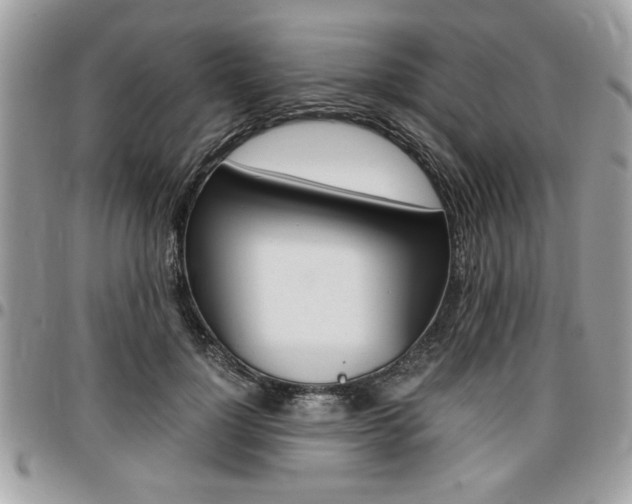 X0000096960748200802080859