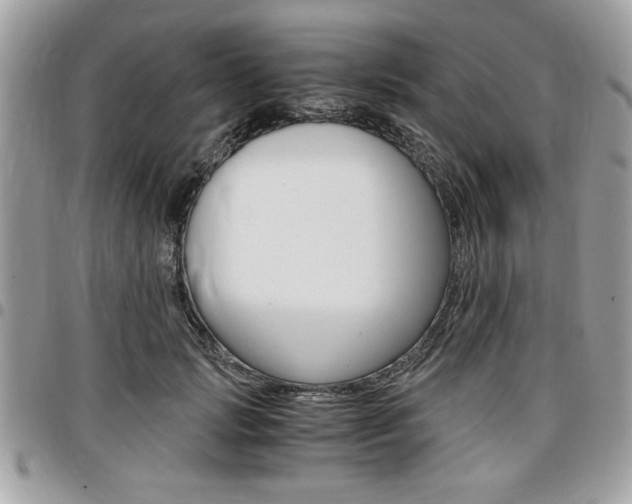 X0000096960749200802080859