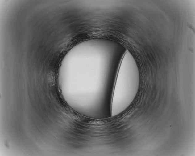 X0000096960751200802080859