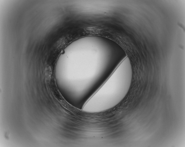 X0000096960752200802080859