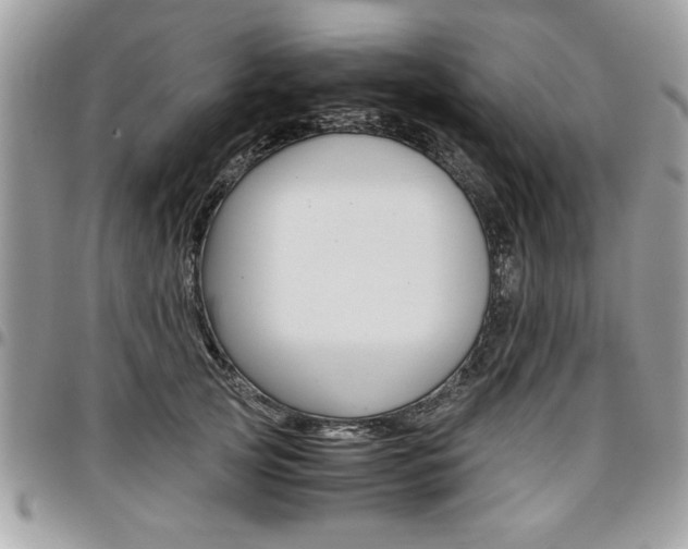 X0000096960753200802080859