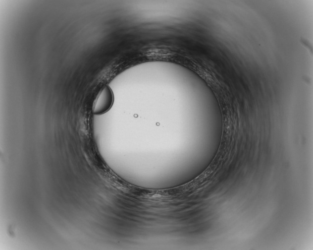 X0000096960755200802080859