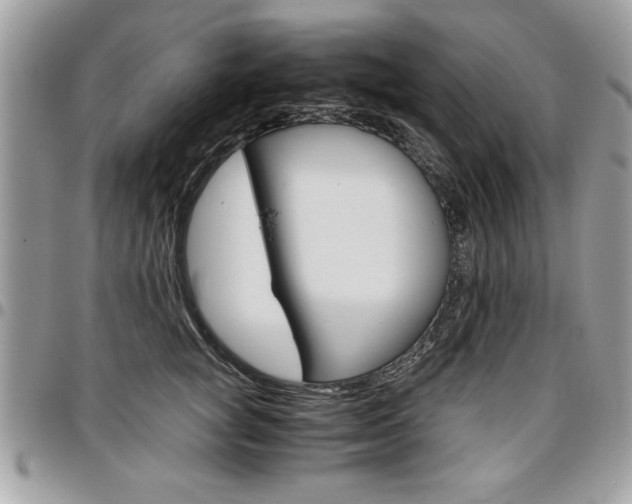 X0000096960757200802080859