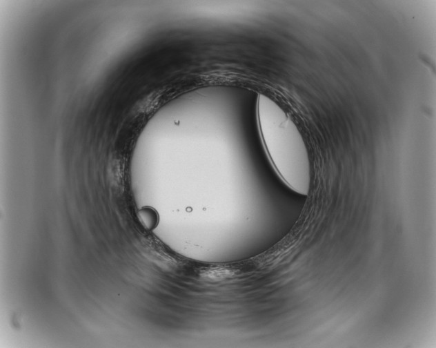 X0000096960759200802080900