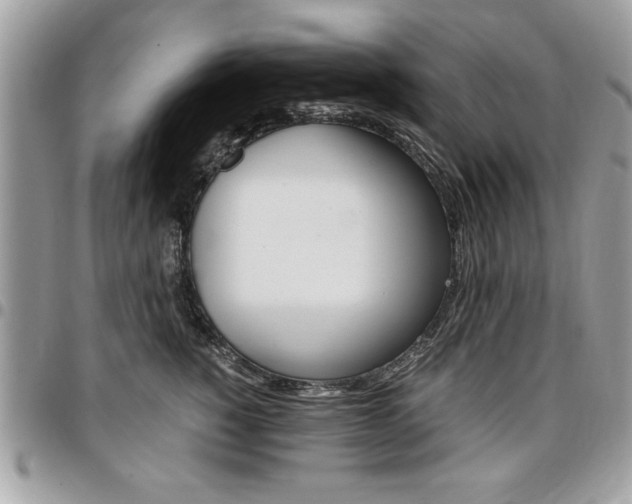X0000096960760200802080900