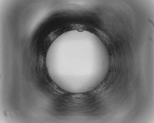 X0000096960761200802080900