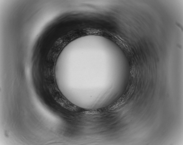 X0000096960763200802080900