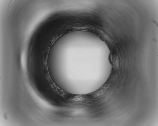 X0000096960764200802080900