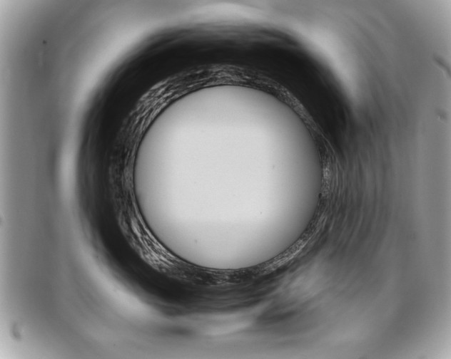 X0000096960765200802080900