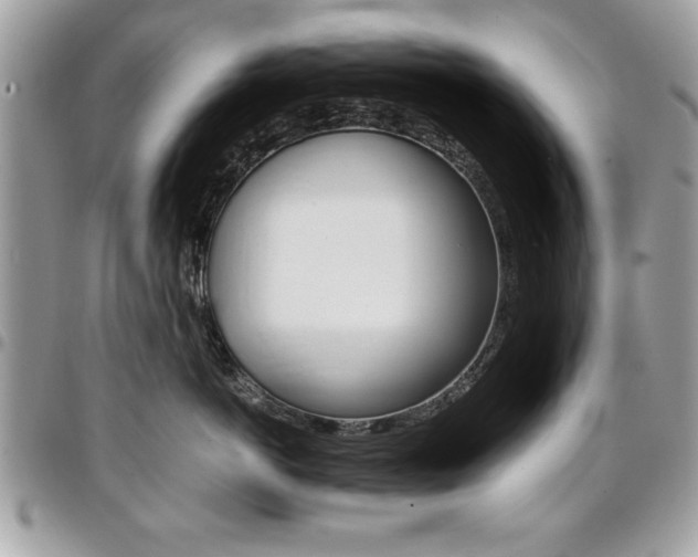 X0000096960766200802080900