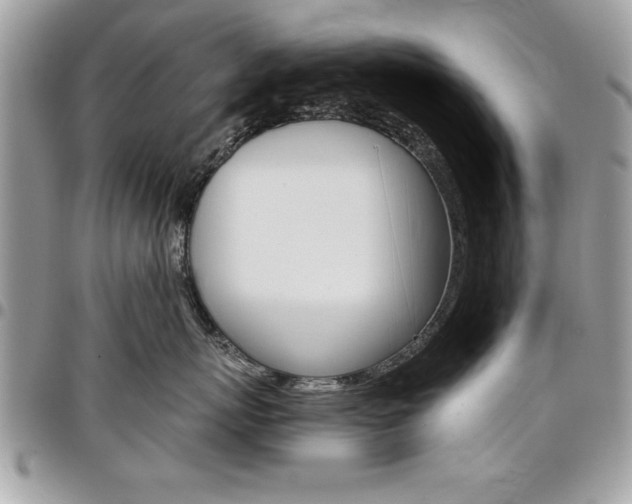 X0000096960767200802080900