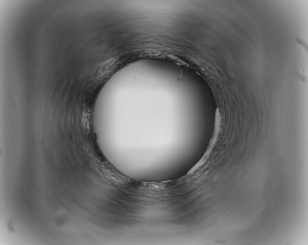 X0000096960768200802080900