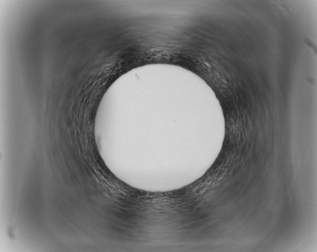 X0000096960769200802080859