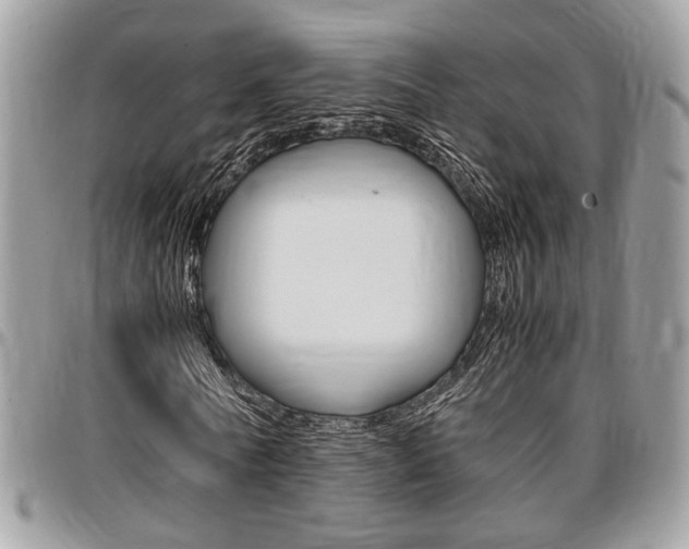 X0000096960770200802080859