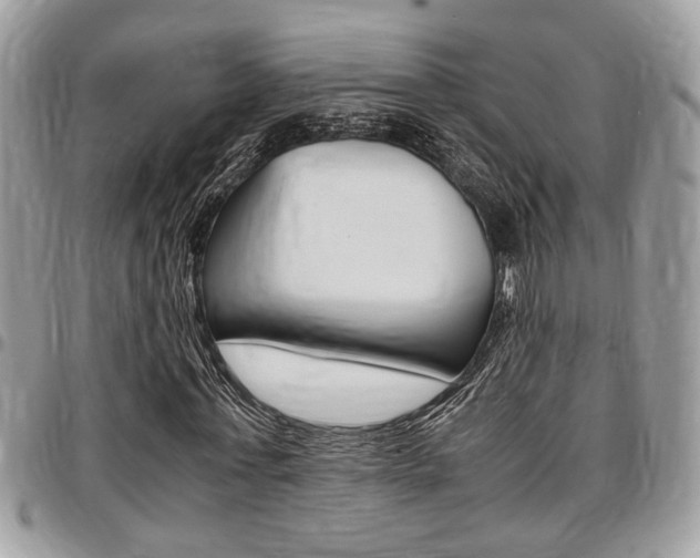 X0000096960771200802080859