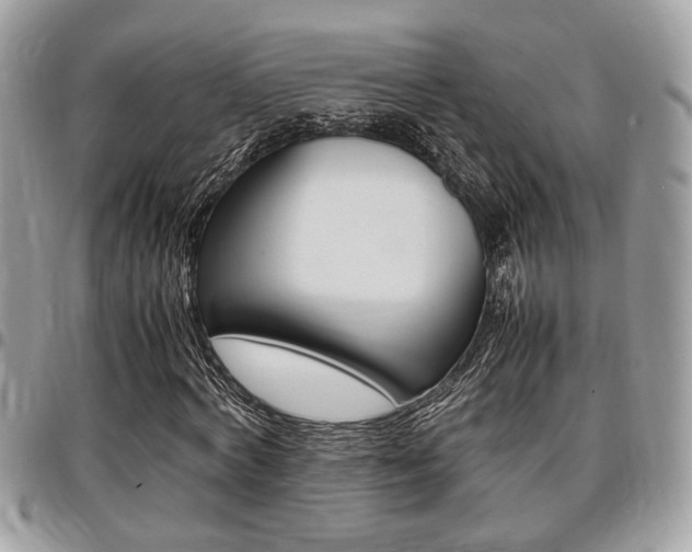 X0000096960772200802080859
