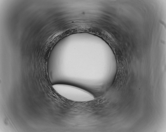 X0000096960773200802080859